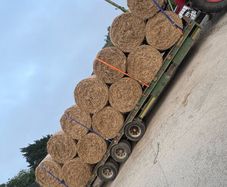 Hay for sale