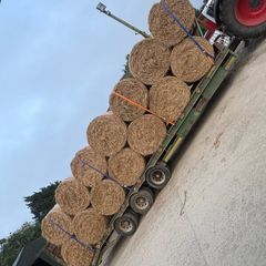 Hay for sale