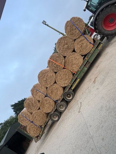 Hay for sale