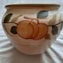Price drop Planter Bowl Image 2