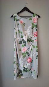 Phase Eight Dress
