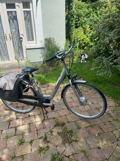 giant electric bike