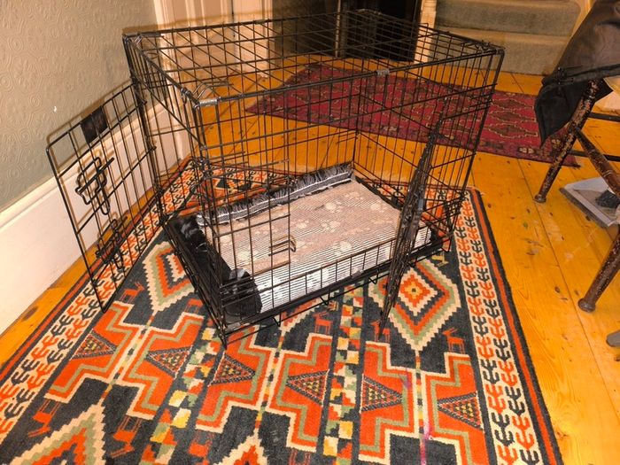 Medium Dog cage