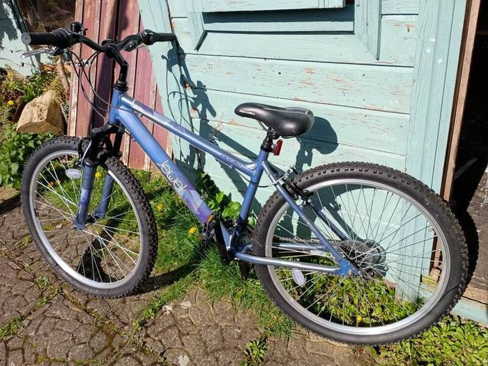2 girls bikes for sale,both like new