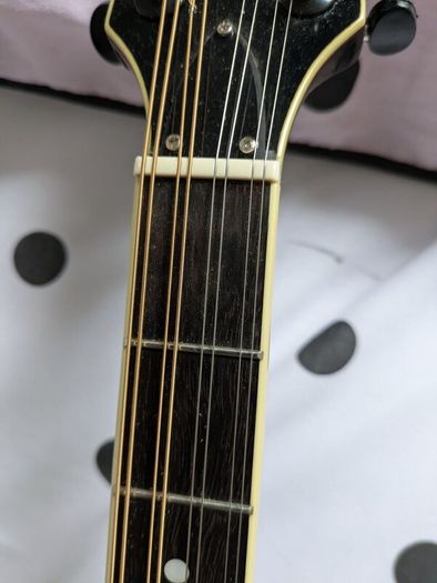 Bouzouki  By  Ashbury