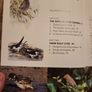 Garden Bird Behaviour. Robert Burton. How To Recognise And Everyday Bird Activities. First Edition Large Volume Paperback In Good Condition. Image 2