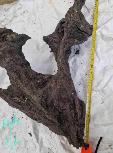 Collection of 4 Ancient Irish Bog Oak Pieces
