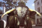 Swervedriver - various CDs