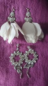 Earrings/ jewellery