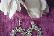 Earrings/ jewellery