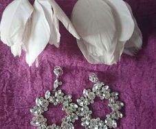 Earrings/ jewellery