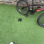 BMX Freestyle Image 5