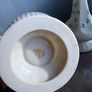 Belleek Vase Image 2