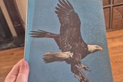 apx 20 Audubon magazine natural history
