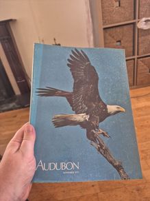 apx 20 Audubon magazine natural history