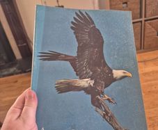 apx 20 Audubon magazine natural history