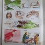 Gaeilge Fallons vintage Seoda book. Image 7
