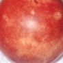 antique 1890s billiards balls  x 4 Image 5