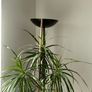 Floor lamp Image 6