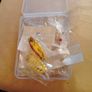 9 fishing spoon lures Image 8