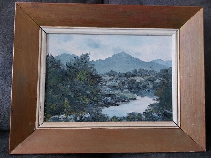 2 oil paintings- signed D. O'Donnell