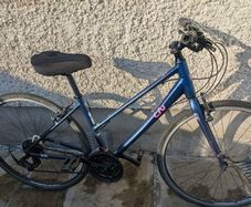 Giant Liv women's bike