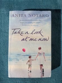 Take a look at me now - ANITA NOTARO