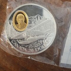 silver coin gold plated