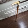 Walking stick Image 5