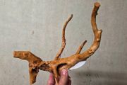 Red Moor Wood Mini 10-15cm