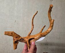 Red Moor Wood Mini 10-15cm
