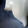 Royal Winton Leaf Serving Plate Image 9