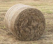 Hay Bales