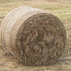Hay Bales
