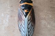 Vintage french Cicada pocket vase