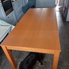 Extendable Dining table 8 chairs