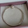 Pandora 2-tone Signature Bracelet  925/585 Ale 14k Yellow Gold Size 18cm Image 2