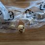 Carlisle Brass Victorian Cupboard Knob Polished Brass 25mm Image 2