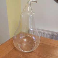 Plant terrarium
