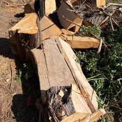 wood