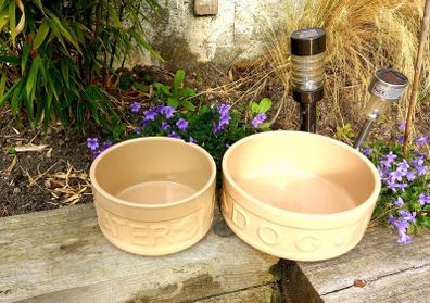 Mason Cash dog bowl