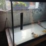 Fish Tank Image 3