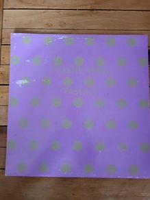 Plastic Angel Pascale 12 inch House Trance Vinyl