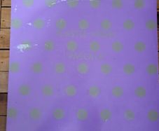 Plastic Angel Pascale 12 inch House Trance Vinyl