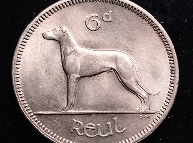 Ireland - 1968 - 6 Pence - Wolfhound - KM.13a - UNC - [688]