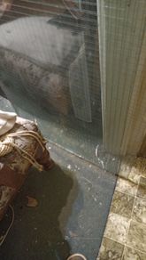 Georgian Wire  Glass