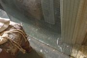 Georgian Wire  Glass