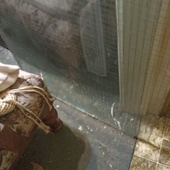 Georgian Wire  Glass