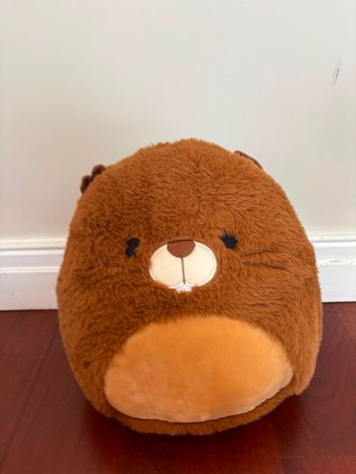 Squishmallow bundle