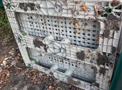 Plastic Pallets